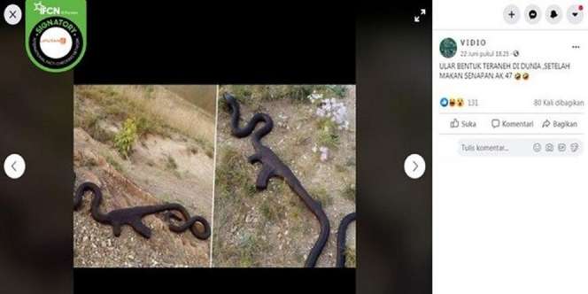Viral Ular Telan Senjata AK-47, Begini Faktanya