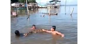 Viral Video 4 Bocah 'Santuy' Berenang dengan Seekor Buaya