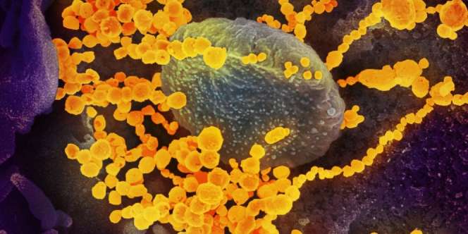 Tertular Virus Corona tapi Tak Menunjukkan Gejala, Ini Penjelasannya