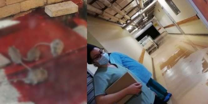 Miris, Kekurangan Tenaga Medis, Rumah Sakit Kewalahan 'Diserbu' Pasien Corona