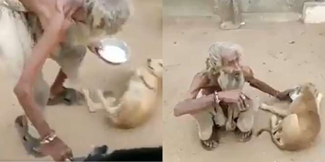 Video Viral! Aksi Pengemis Beri Makan Anjing-Anjing, Bikin Haru