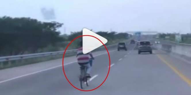 Cuek Abis! Video Aksi Pesepeda Gowes Santai di Tengah Jalan Tol