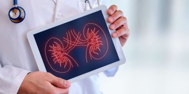 Mengenal PCNL, Metode Pengobatan Batu Tanduk Rusa Pada Ginjal