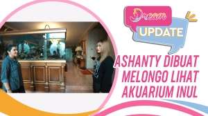 Ashanty Melongo Lihat Akuarium Inul, Harganya Rp500 Juta!