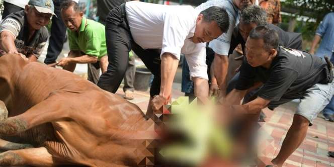 Waktu Paling Utama Menyembelih Hewan Kurban