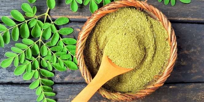 15 Manfaat Daun Kelor Bagi Kesehatan, Telah Teruji Secara Ilmiah