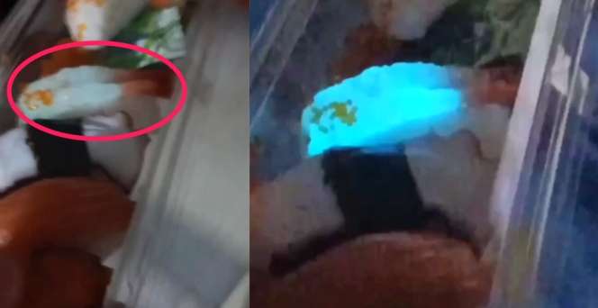Pembeli Kaget! Sushi Ini Bercahaya dalam Gelap