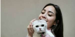 Fantastis Kucing Baru Nagita Slavina Seharga Motor