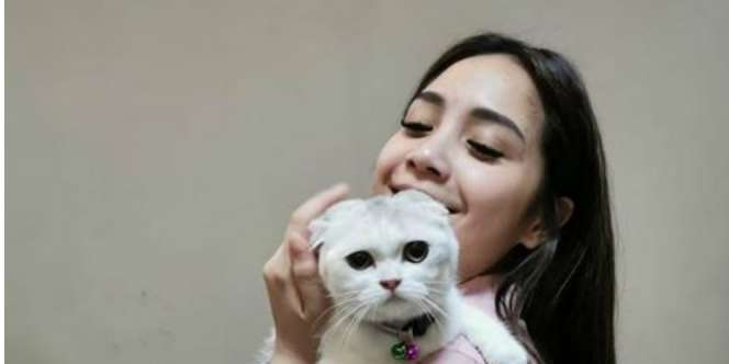 Fantastis Kucing Baru Nagita Slavina Seharga Motor
