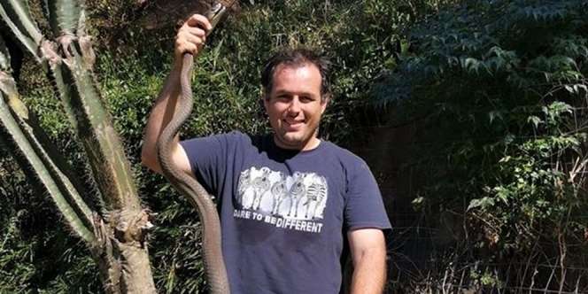 Video Mendebarkan Pawang Tangkap Black Mamba Paling Berbisa Pakai Tangan Kosong