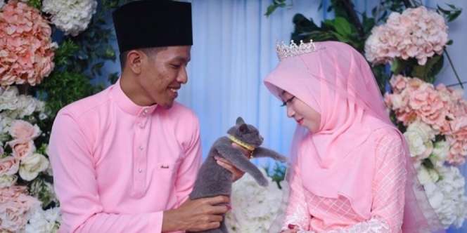 Antimainstream, Pasangan Ini Jadikan Kucing untuk Seserahan
