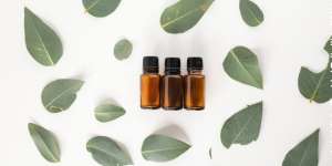 5 Manfaat Pemakaian Minyak Eucalyptus untuk Kesehatan