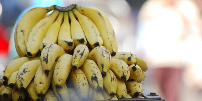 Cara Mudah Bikin Pisang Tak Cepat Busuk