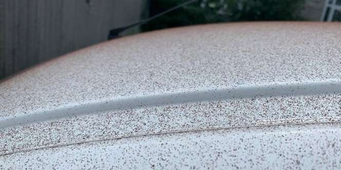 Heboh Hujan Cokelat di Langit Swiss, Begini Penjelasannya