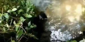 Viral Video Kuntilanak di Dalam Air, Ada Bunyi Cekikikan