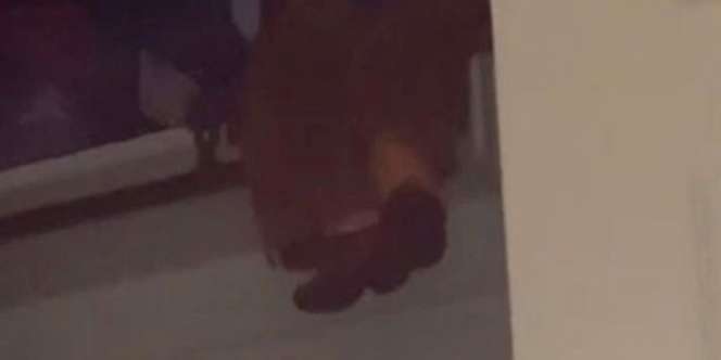 Ditonton Hampir 11 Juta Kali, Video Kaki Boneka 'Hantu' Bergerak Sendiri