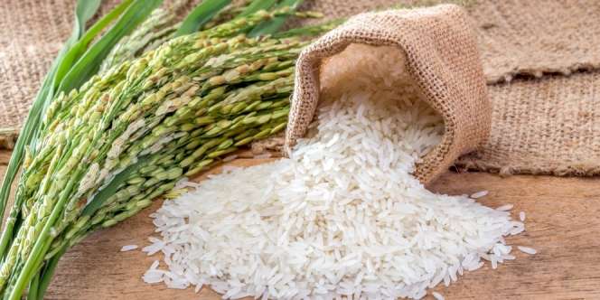 Menu Karbohidrat Terbaik Buat Makan Malam, Nasi Atau Roti?