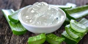 5 Manfaat Lidah Buaya untuk Kesehatan Bibir