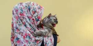 Mengenal Toxoplasma, Parasit Penyebab Radang Otak yang Diidap Barli Asmara