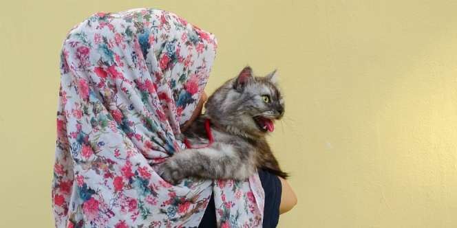 Mengenal Toxoplasma, Parasit Penyebab Radang Otak yang Diidap Barli Asmara