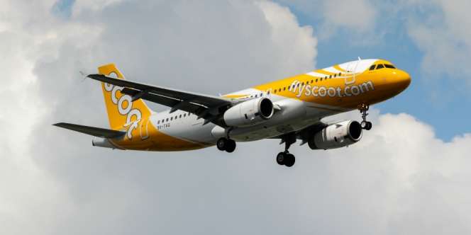 Hore, Scoot Bakal Terbang ke Yogyakarta dan Semarang Langsung dari Singapura