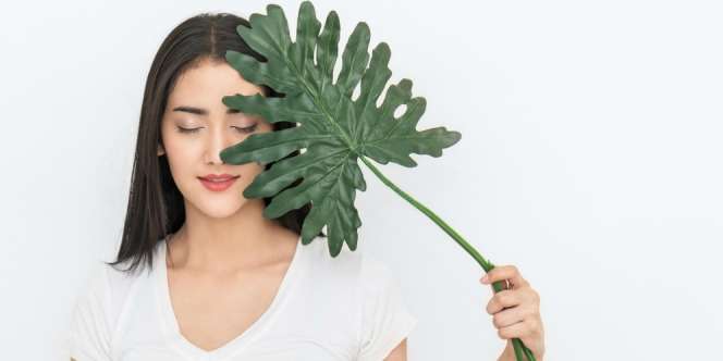 4 Tips Perawatan Alami yang Bisa Dilakukan untuk Kulit Sehat