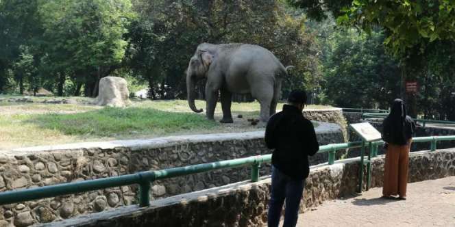 Ikuti Arahan Anies, Taman Margasatwa Ragunan Tutup 14 September