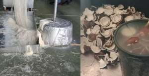Pabrik Super Jorok, Mie Berceceran dan Kelapa Ditaruh Dekat Toilet