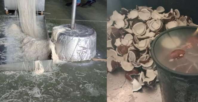 Pabrik Super Jorok, Mie Berceceran dan Kelapa Ditaruh Dekat Toilet