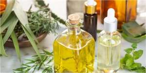 Bahaya Keracunan Minyak Kayu Putih yang Patut Diwaspadai