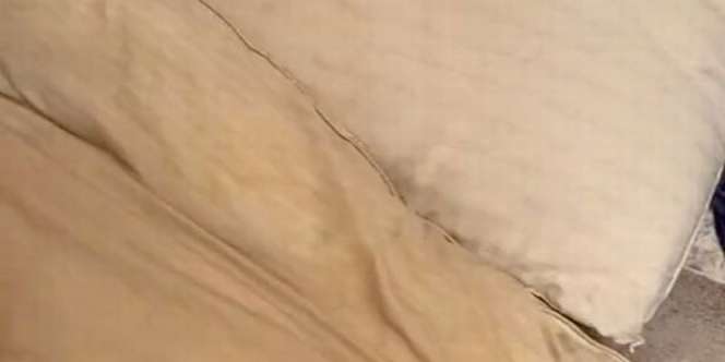 Bantal Baru Dicuci Setelah 10 Tahun Dipakai, Hasilnya Mengejutkan