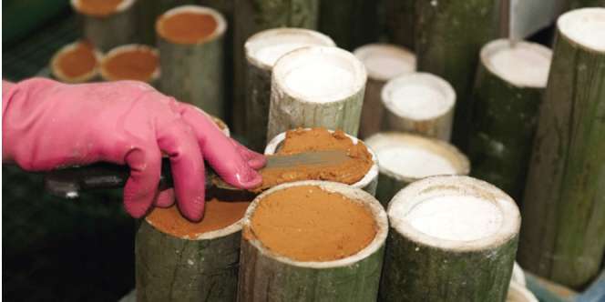 Garam Bambu Khas Korea, Bikinnya Butuh 3 Tahun
