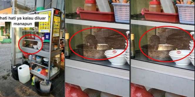 Viral Tikus Serbu Panci Makanan di Warung, Pelanggan Auto Kabur