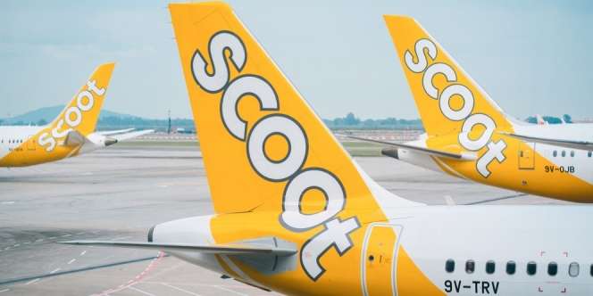 Resmi! Maskapai Berbiaya Rendah Scoot Layani Rute ke Yogyakarta