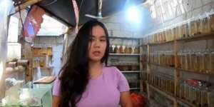 Bu Guru Cantik Sukses Bisnis Ikan Cupang di Bekasi  
