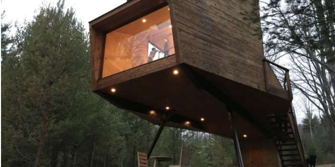 Rumah Pohon Berdesain Megah, Isinya Bikin Takjub