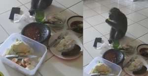 Lagi Asyik `Ngerujak`, Monyet Nyelonong dan Ambil Alih Pesta Rujak
