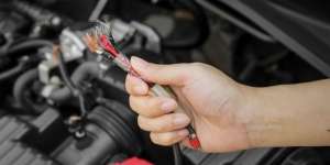 5 Cara Efektif Cegah Tikus Gerogoti Kabel Mobil