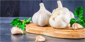 10 Tanaman yang Bisa Dijadikan Obat Herbal Bagi Penderita Diabetes