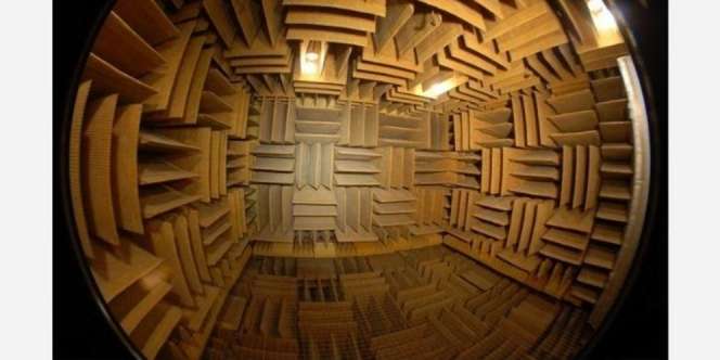 Tempat Paling Sunyi di Dunia Ini Bikin Kamu Gila dalam 45 Menit, Berani Masuk?