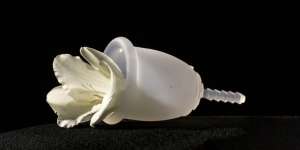 5 Penyebab Basahnya Miss V, Normal Atau Tidak?