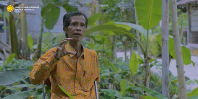 Kisah Mbah Lasiyo, Pengusaha Pisang yang Sukses Karena Bisnis Pakai 'TUYUL'