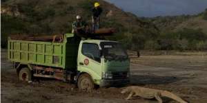 Viral Foto Truk Diadang Komodo