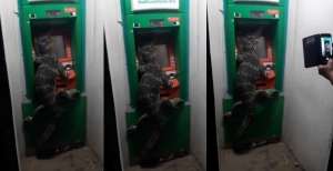 Mau Tarik Uang, Warga Dikejutkan Biawak Raksasa Menempel di Mesin ATM