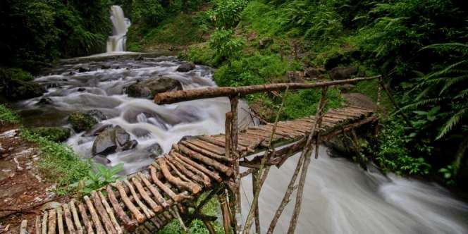 Niat Wisata ke Curug, Cewek Ini Malah Nantang Maut Gegara Ikuti Google Maps