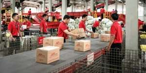 J&T Indonesia Kirim 11 Juta Paket Saat Pesta Belanja 11.11