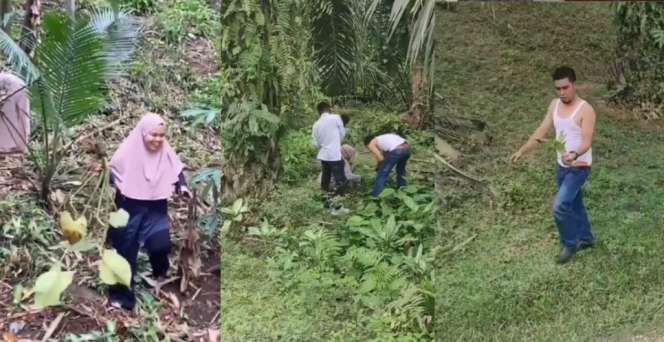 Tergiur Harga Mahal, Bapak-Bapak Berburu Janda Bolong ke Tengah Hutan