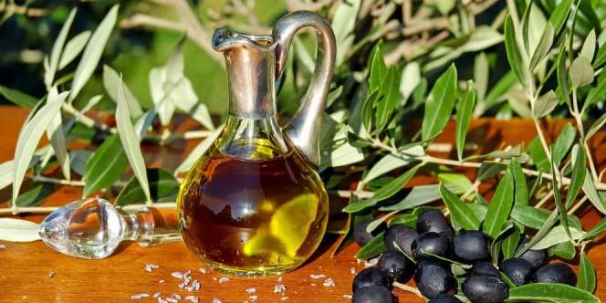 Minyak Zaitun Terbaik Dunia Berasal dari Negara Ini