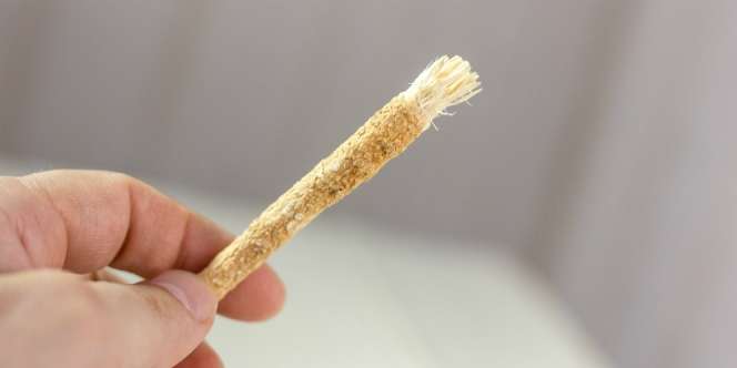 Doa Menggosok Gigi dengan Kayu Siwak