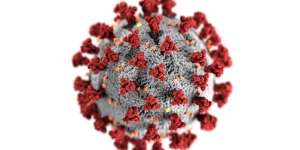 Peneliti China Klaim Virus Covid-19 Berasal dari India, Bukan Wuhan